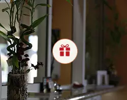 Welcome Inn Packages